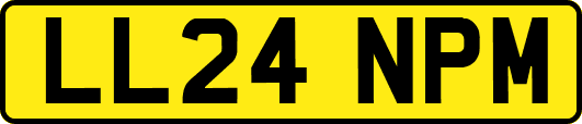 LL24NPM