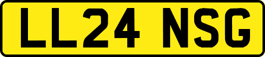LL24NSG