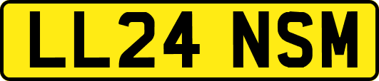 LL24NSM