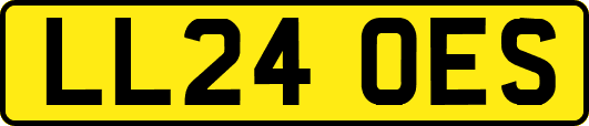 LL24OES