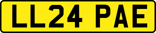 LL24PAE