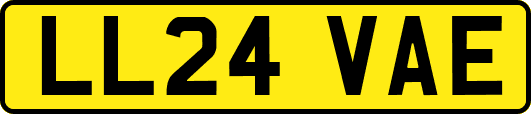LL24VAE