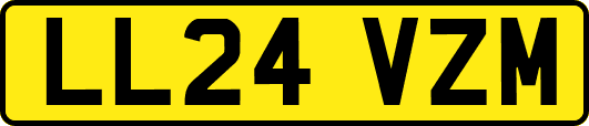 LL24VZM