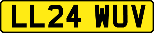 LL24WUV