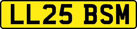 LL25BSM