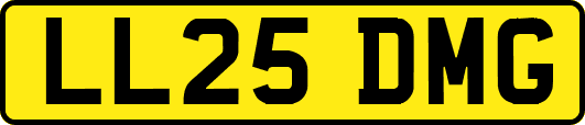 LL25DMG