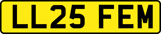 LL25FEM