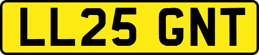 LL25GNT