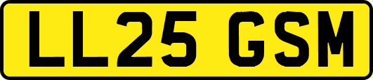 LL25GSM