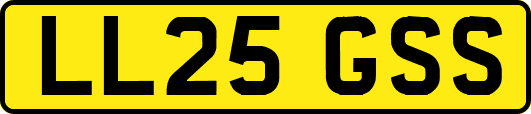 LL25GSS