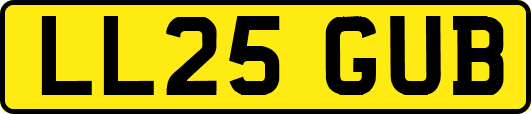 LL25GUB
