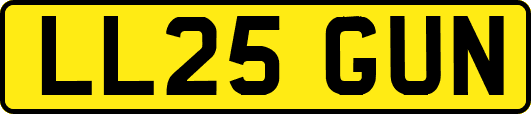 LL25GUN