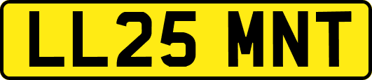 LL25MNT