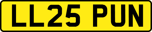 LL25PUN