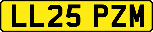 LL25PZM