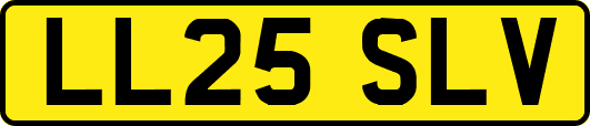 LL25SLV