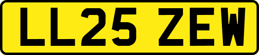 LL25ZEW