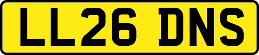LL26DNS