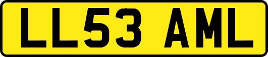 LL53AML