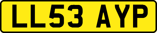 LL53AYP