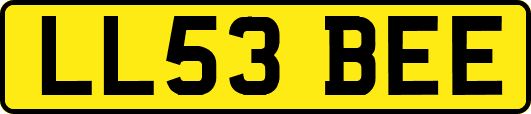 LL53BEE