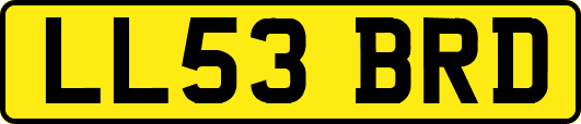 LL53BRD