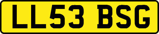 LL53BSG