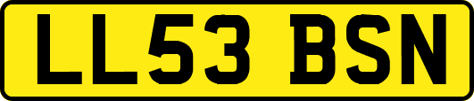 LL53BSN