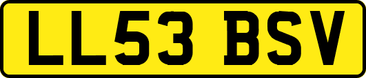 LL53BSV