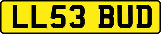 LL53BUD