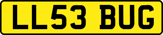 LL53BUG