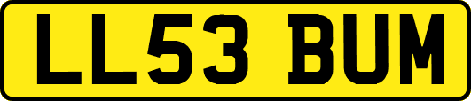 LL53BUM