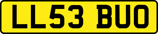 LL53BUO