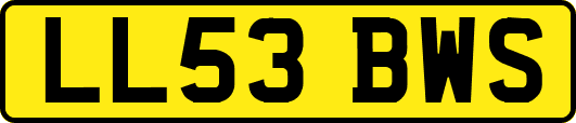 LL53BWS