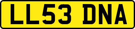 LL53DNA