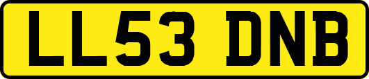 LL53DNB