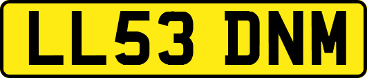 LL53DNM