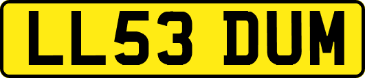 LL53DUM