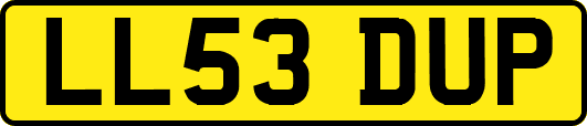 LL53DUP