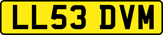 LL53DVM