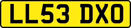 LL53DXO