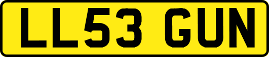 LL53GUN
