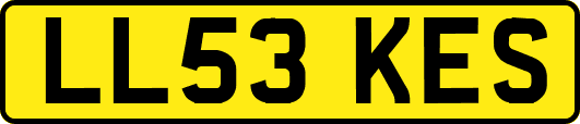 LL53KES
