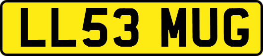 LL53MUG