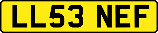 LL53NEF