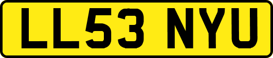 LL53NYU