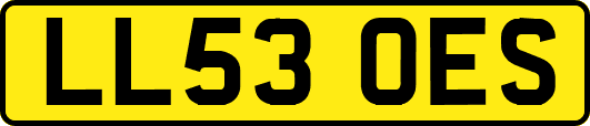 LL53OES