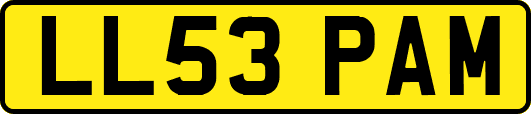 LL53PAM