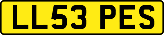 LL53PES