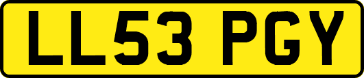 LL53PGY